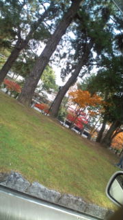 c0124908_9543565.jpg