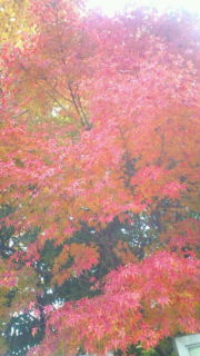 c0124908_9543599.jpg