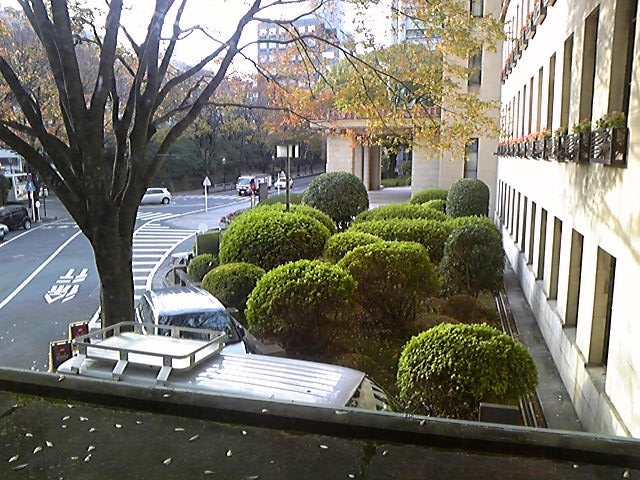 e0015108_7583929.jpg