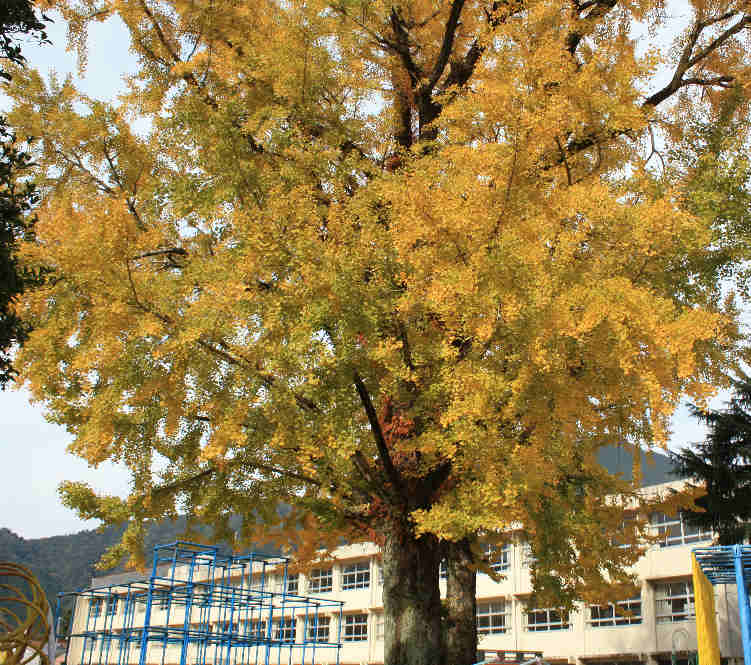 d0154609_17583981.jpg