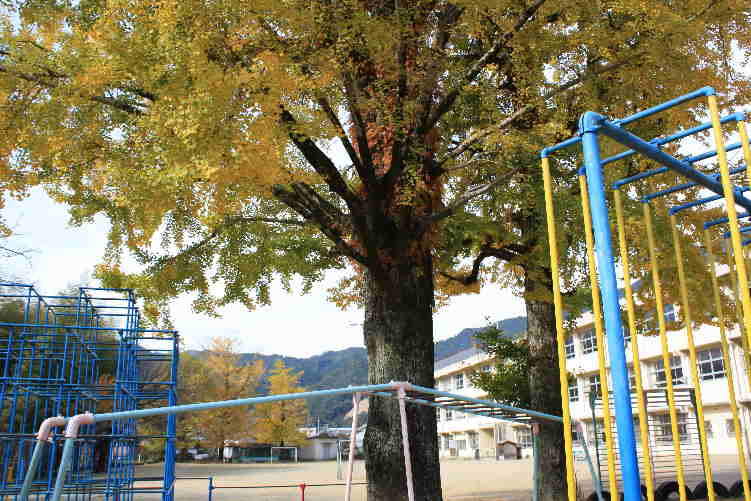 d0154609_181161.jpg