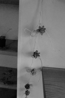f0236311_8152621.jpg