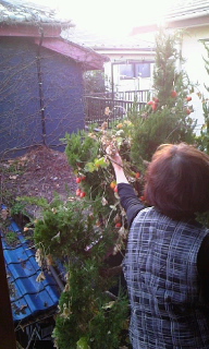 c0022913_20225486.jpg