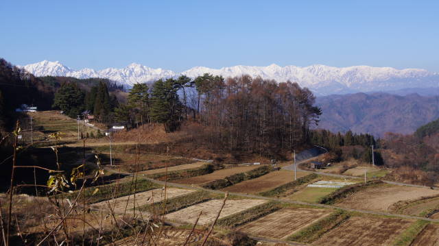 f0233414_2246262.jpg