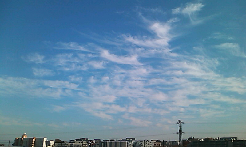 c0140616_11483412.jpg