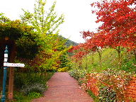 a0157619_20464497.jpg