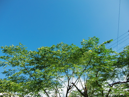 b0132619_925266.jpg