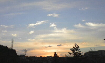 b0174923_2023881.jpg