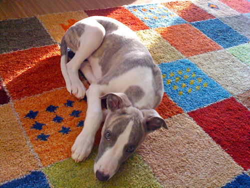 c0198524_17221875.jpg