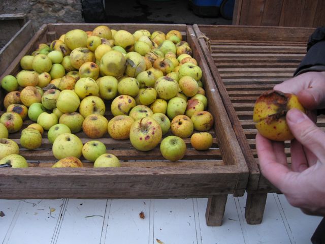 c0188527_1772126.jpg