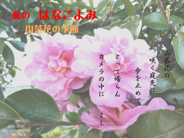 e0033229_20333743.jpg