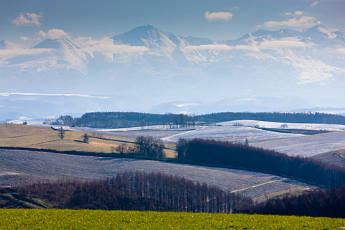 e0025030_12281645.jpg