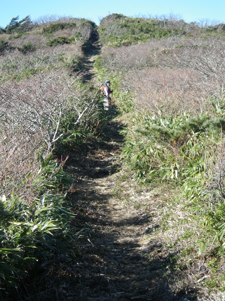 e0008833_1156196.jpg