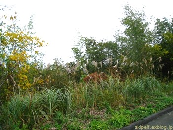 c0134734_17442269.jpg