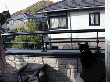 c0136736_2014659.gif
