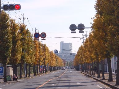 d0093936_135854100.jpg