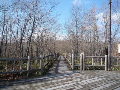 f0214837_14301129.jpg