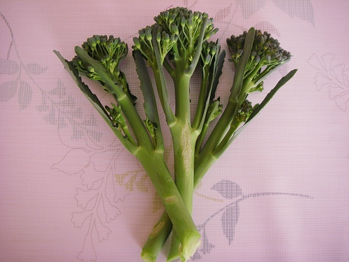a0034438_1513176.jpg