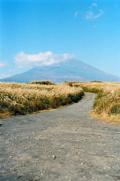 d0141239_0594964.jpg