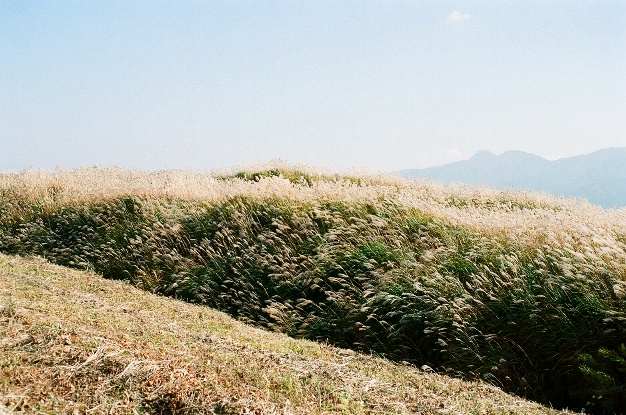 d0141239_071285.jpg