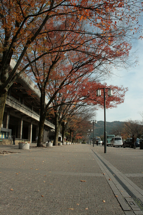 b0168840_0572730.jpg