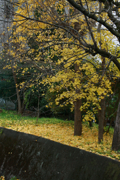 b0168840_152366.jpg
