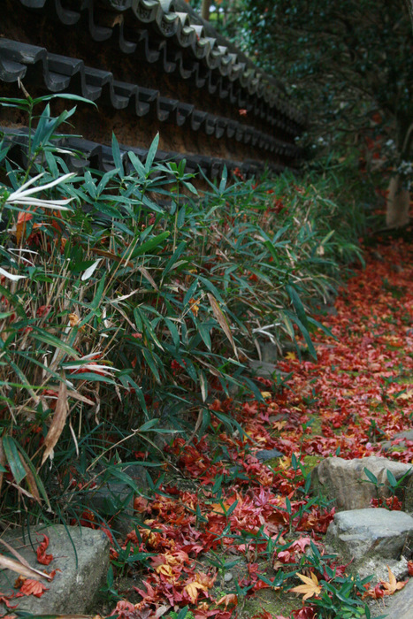 b0168840_165794.jpg