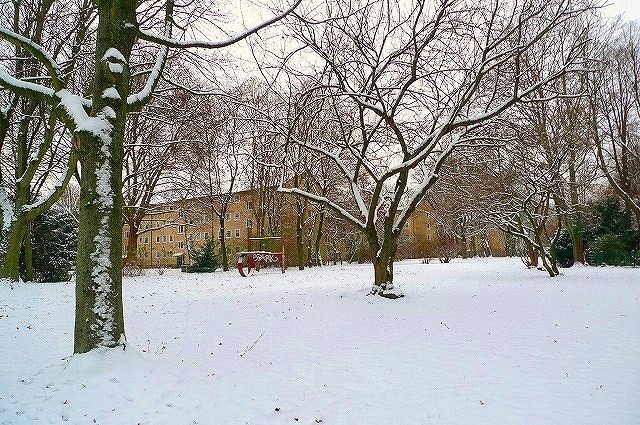 c0153740_2314819.jpg