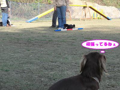 f0186040_1433623.jpg