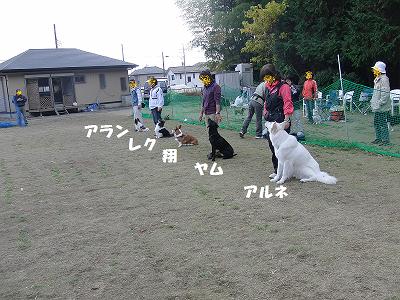 f0186040_215026.jpg