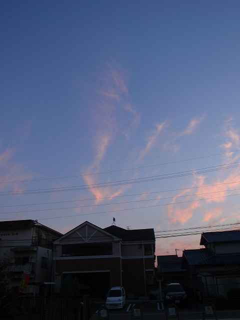a0095546_23415861.jpg