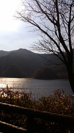 a0054647_17135389.jpg