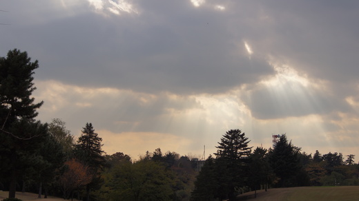 b0202747_030111.jpg