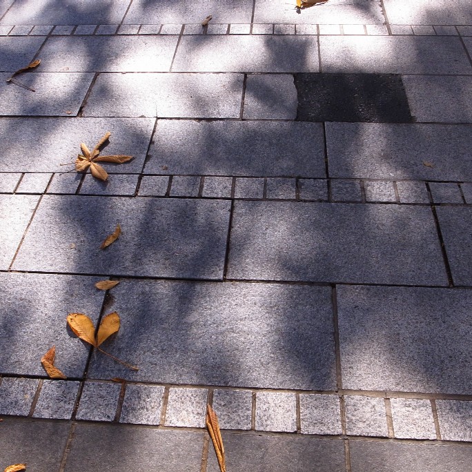 e0009147_182258100.jpg
