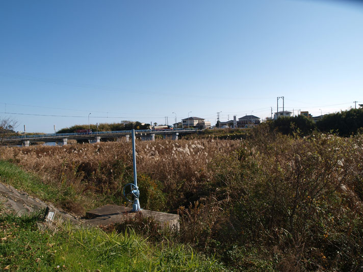 c0181648_5243637.jpg