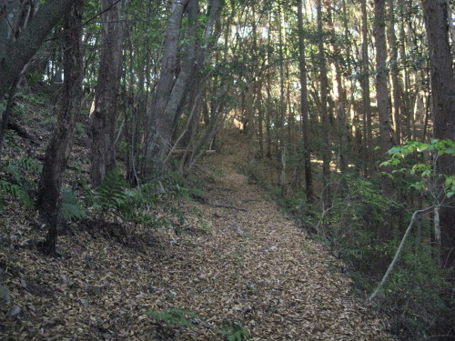 c0179351_20345092.jpg