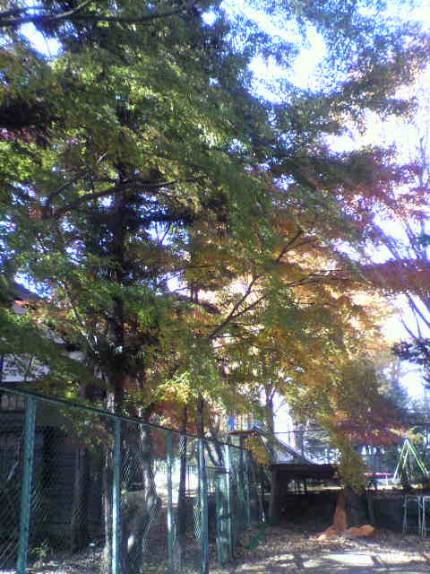 d0124952_20451644.jpg