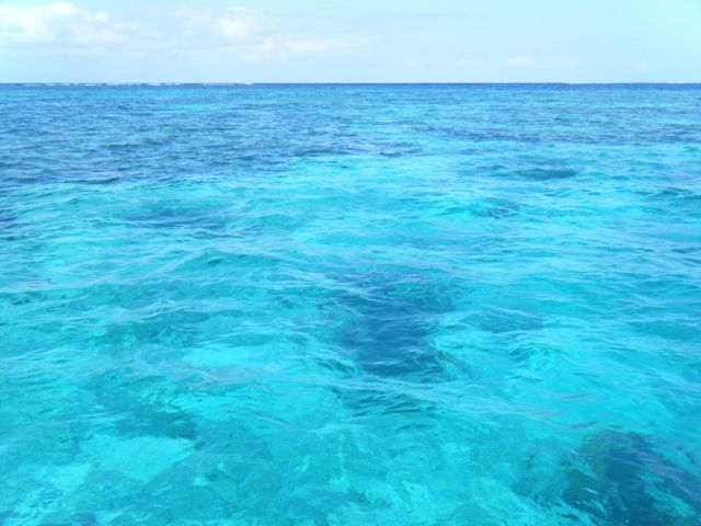 e0134752_2211941.jpg