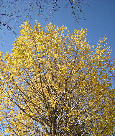 a0001354_21293699.jpg