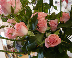 d0050155_0443240.jpg