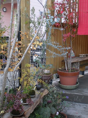 d0148555_2257339.jpg