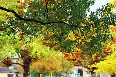 b0131167_2053844.jpg
