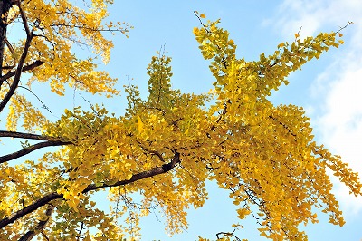 b0131167_22281187.jpg