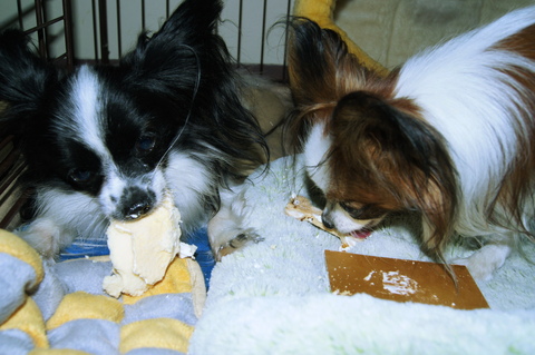 c0002967_21114537.jpg
