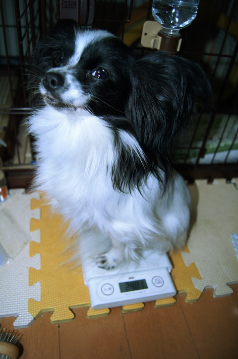 c0002967_2127830.jpg