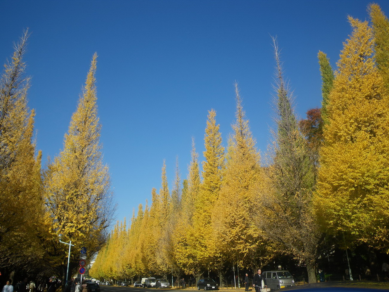 f0157268_18503120.jpg