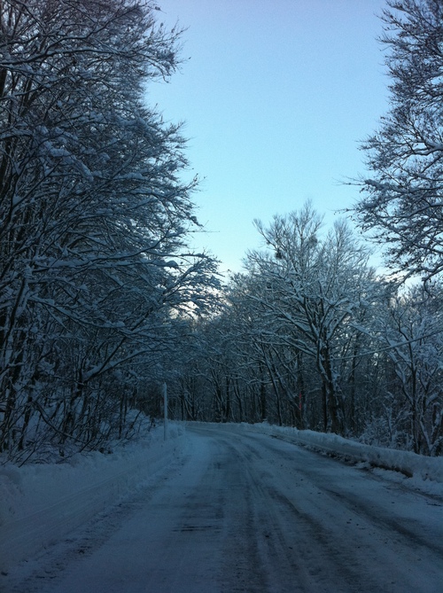 f0204469_1754599.jpg