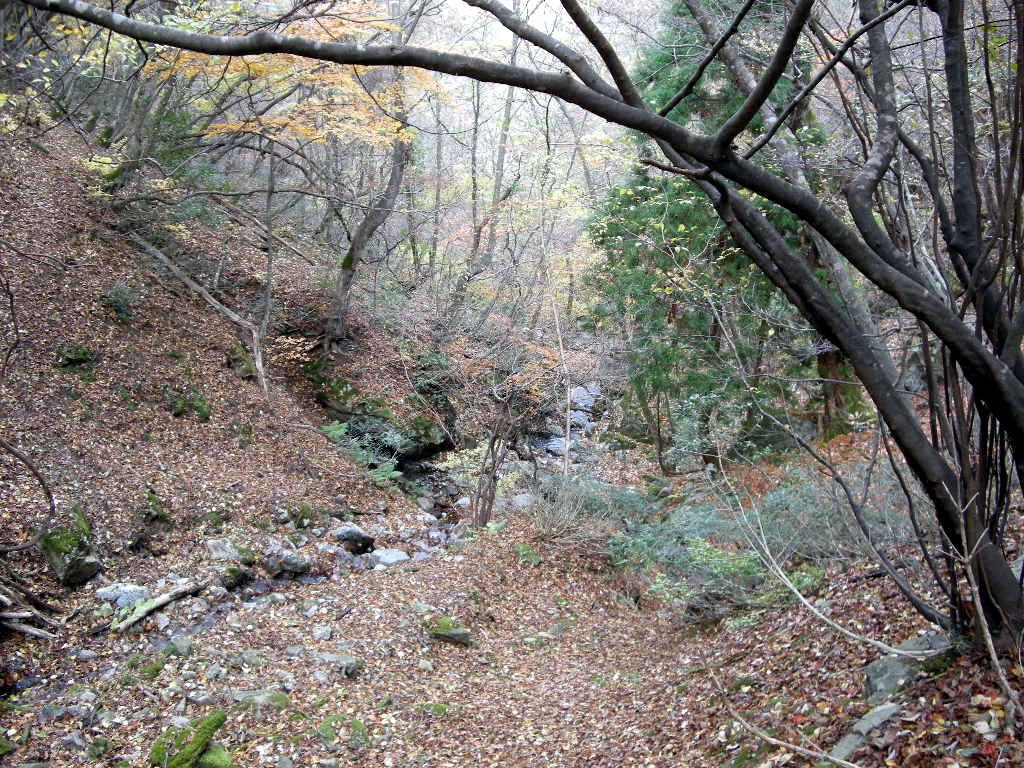 b0185573_19531750.jpg