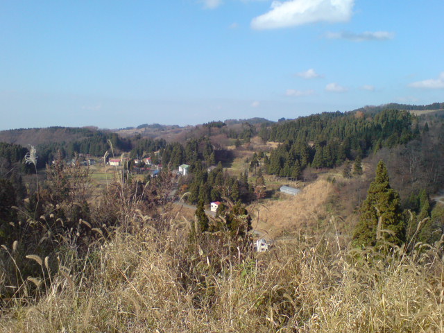 d0182179_19125050.jpg