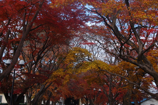 b0203588_14481595.jpg